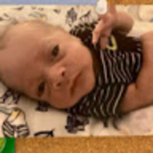 Meet your Posher, Wayne